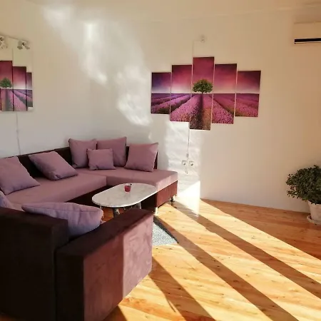 Pinca Apartamento